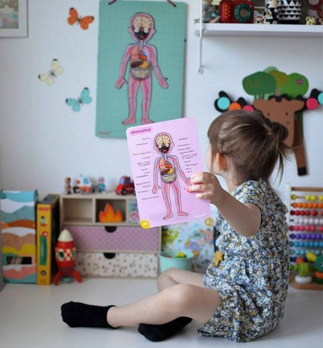 Janod - The magnetic puzzle Human body