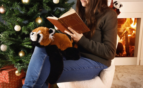 DOUDOU – Histoire d'Ours weighted red panda plush, 50 cm, orange