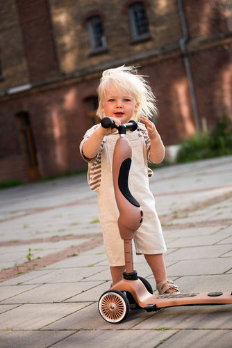 SCOOTANDRIDE - Highwaykick Push and Go 2in1 Ride and scooter 1-5 years Wildberry