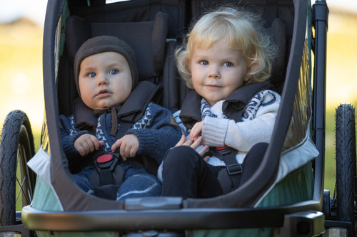 Hamax - Bike trailer for kids COCOON , double - Green/black