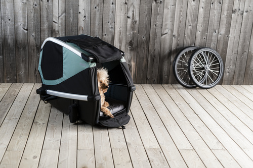 Bicycle trailer for a dog - Thule Bexey L up to 45 kg - Haze green
