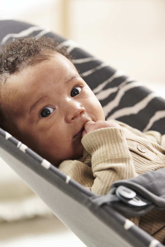 BABYBJÖRN - Bouncer Bliss, Anthracite/Landscape Print, Cotton