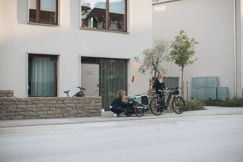 Bicycle trailer for a dog - Thule Bexey M up to 35 kg - Haze green