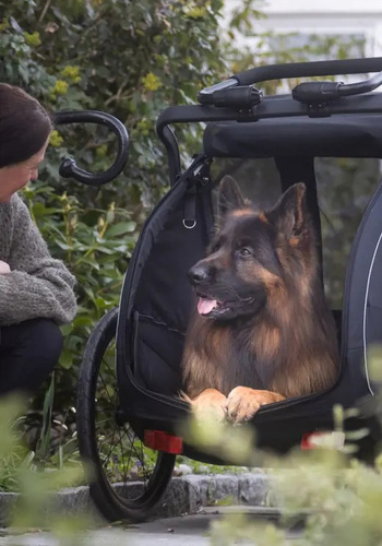 Bicycle trailer for a dog - Hamax Pluto L 45 kg - Blue / Black