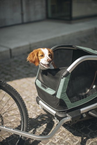 Bicycle trailer for a dog - Thule Bexey L up to 45 kg - Haze green