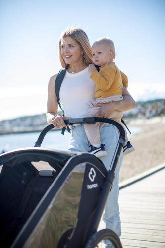 Hamax - Bike trailer for kids BREEZE + Jogger wheel, double - Back