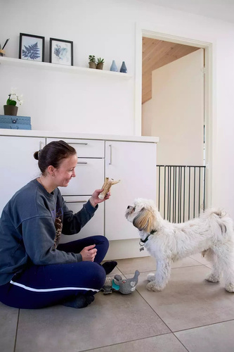 DogSpace - Lucky Extending Dog Gate, Black (62.5-106cm)