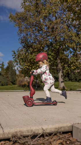 SCOOTANDRIDE - Highwaykick 1 Lifestyle 2in1 Ride-on and scooter with lockable storage 1-5 years Wildcat