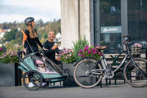 Hamax - Bike trailer for kids COCOON ONE - Green/black