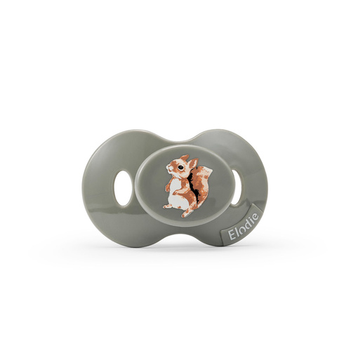 ELODIE DETAILS - silicone pacifier 3m+, Chipmunk Darling