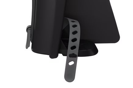 Fotelik rowerowy - THULE RideAlong Lite 2 - Dark Grey