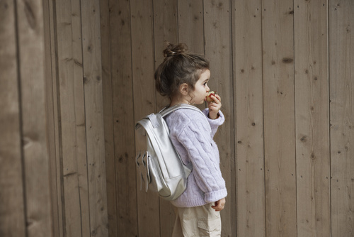Elodie Details - Backpack MINI - Silver Sheen