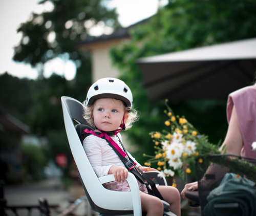 Hamax - Caress w/lockable bracket (frame mounted) - Green/black