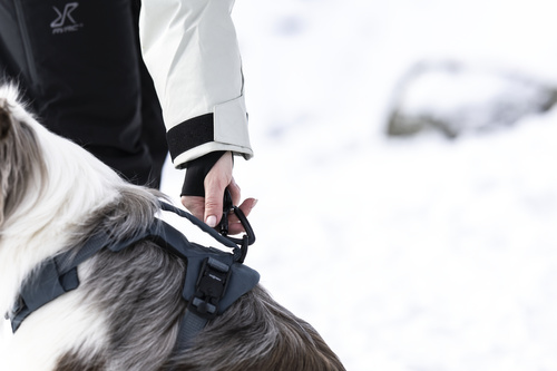 Thule - Dart harness XS, black