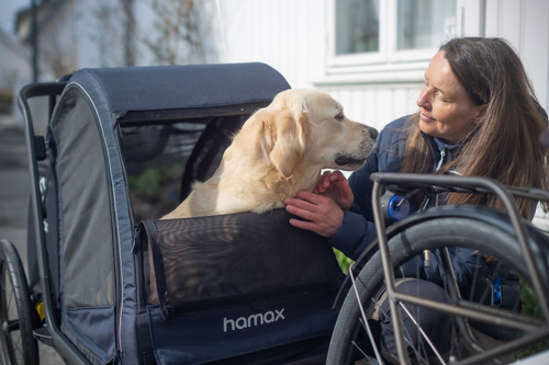 Bicycle trailer for a dog - Hamax Pluto L 45 kg - Blue / Black