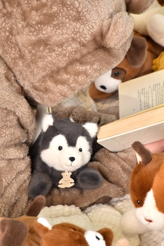 DOUDOU – Les P'tits Relax weighted plush wolf, Histoire d'Ours, 22 cm, grey