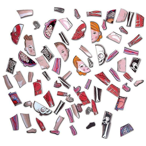 Janod - The magnetic puzzle Human body