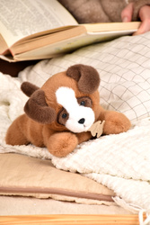 DOUDOU – Les P'tits Relax weighted plush dog, Histoire d'Ours, 22 cm, brown