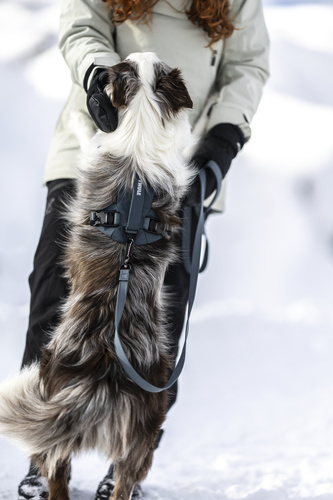 Thule - Dart harness XS, black