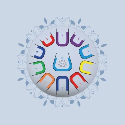TAMBÚ - large Tambú+ tongue drum, 10", 11 tones, pure connection