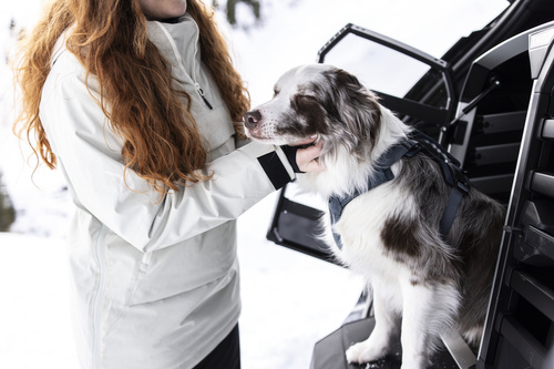 Thule - Dart harness XS, black