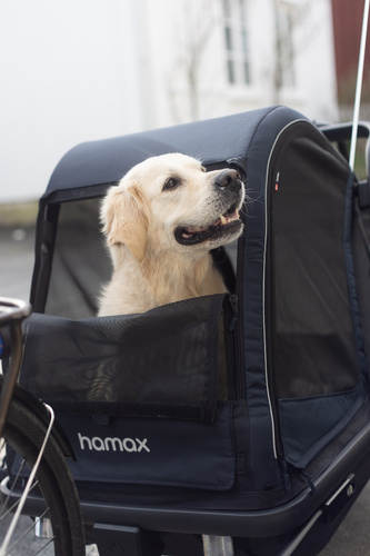 Bicycle trailer for a dog - Hamax Pluto L 45 kg - Blue / Black
