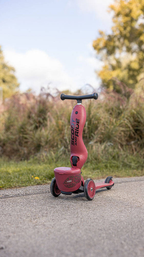 SCOOTANDRIDE - Highwaykick 1 Lifestyle 2in1 Ride-on and scooter with lockable storage 1-5 years Wildcat