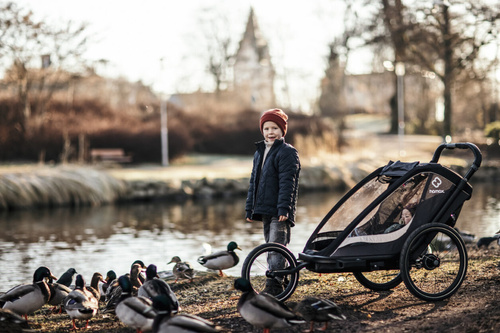 Hamax - Bike trailer for kids COCOON , double- Grey/black