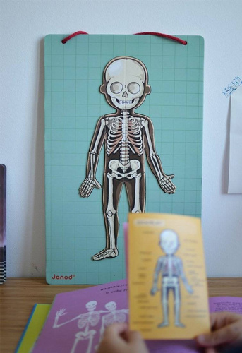 Janod - The magnetic puzzle Human body