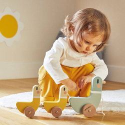 Janod - Drewniane kaczki do ciągnięcia Sweet Cocoon 12 m+