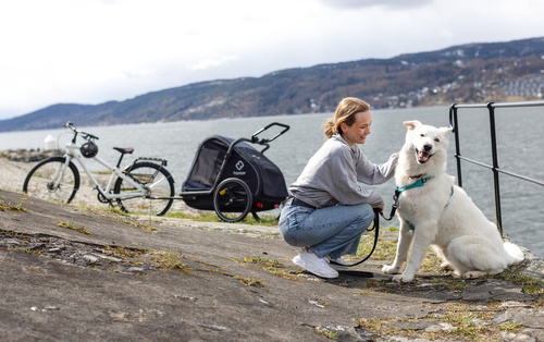 Bicycle trailer for a dog - Hamax Pluto L 45 kg - Blue / Black