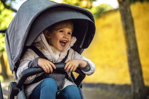 Thule Sleek + Bassinet + Main Seat - Grey Melange on Black