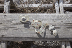ELODIE DETAILS - silicone pacifier 3m+, Autumn Rose