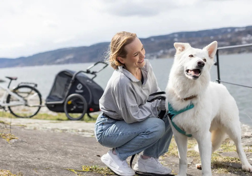 Bicycle trailer for a dog - Hamax Pluto L 45 kg - Blue / Black