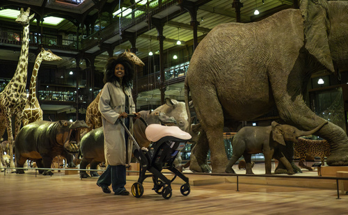 Doona - Doona i Car Seat & Stroller - Blush Pink