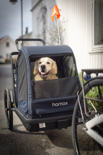 Bicycle trailer for a dog - Hamax Pluto L 45 kg - Blue / Black