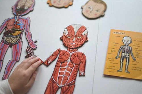 Janod - The magnetic puzzle Human body