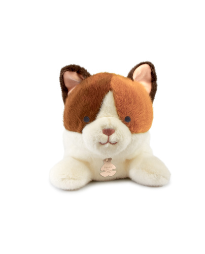 DOUDOU – Les P'tits Relax weighted plush cat, Histoire d'Ours, 22 cm, orange and white