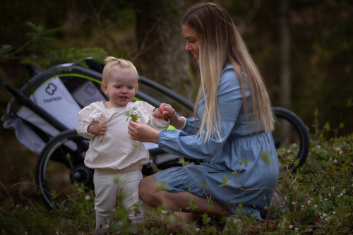 Hamax - Bike trailer for kids BREEZE + Jogger wheel, double - White/green