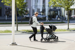 Thule Shine - Rider Board