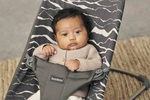 BABYBJÖRN - Bouncer Bliss, Anthracite/Landscape Print, Cotton