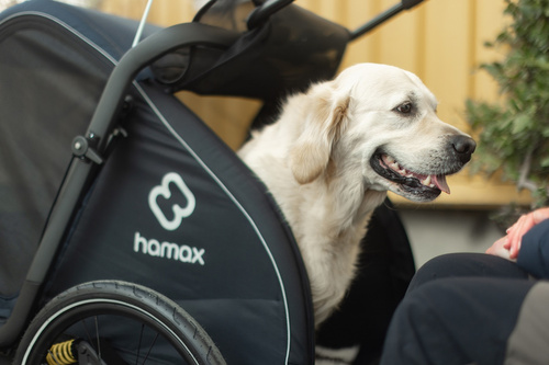 Bicycle trailer for a dog - Hamax Pluto L 45 kg - Blue / Black