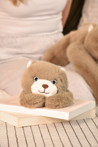 DOUDOU - magnetic plush Podcoll Bear, Histoire d'Ours, 30 cm, brown