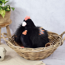 DOUDOU – Poulette plush chicken, Histoire d'Ours, 28 cm, black